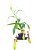 Nepenthes graciliflora - Imagem 2