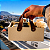 Kit Assinatura Premium - Imagem 1