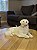 Velas Amigo 4 patas - Golden - Imagem 1