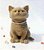 Vela Gato - 100 g - Imagem 1
