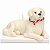 VELA DECORATIVA GOLDEN RETRIVER - Imagem 2