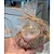 VELA BOLO - HARRY POTTER - Imagem 6