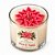 Kit Natalino Caixa de Presente com Vela Flor Rosa Aroma Maça e Canela - Imagem 1