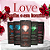 LOVE BEIJAVEL ICE SOFISTICATTO 35ml - Imagem 1