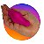VIBRADOR REC. DE CALCINHA BUTTERFLY APP - Imagem 2