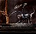 Action Figure Dungeons and Dragons Displacer Beast Golden Archive - Hasbro - Imagem 3