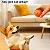 Bola Inteligente - Interativa para Pets - Imagem 1