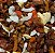 MIX DE FRUTAS DESIDRATADAS 100G - Imagem 1