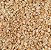 AMENDOIM TORRADO S/ PELE S/ SAL 100G - Imagem 1