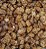 CASTANHA DE CAJU CARAMELIZADA 100G - Imagem 1