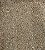 ERVA DOCE 100G - Imagem 1