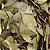 LOURO FOLHA 100G - Imagem 1