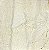 LEITE EM PO INTEGRAL - 100G - Imagem 1