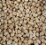 MACADAMIA 100G - Imagem 1