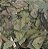 CHA VERDE NACIONAL 100G - Imagem 1