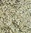 SENE 100G - Imagem 1