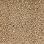 ALPISTE CANADENSE 100G - Imagem 1