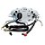 Painel Comp. Instrumentos Condor Biz 125 09 A 10 Esd + [F016] - Imagem 2