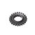 Engrenagem Partida Pinhao (23d) Ww3 Ybr 125 K /2007 - Xtz 12 [F016] - Imagem 1