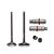 Kit Valvula Ww3 (6pcs) Fazer 150 14/ - Xtz Crosser 150 14/ [F016] - Imagem 1
