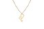 Colar Personalizado Signo De Leão Folheado Em Ouro 18k [F027] - Imagem 1