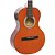 Viola Giannini VS14EQ Eletroacústica Natural Fosco [F002] - Imagem 3
