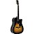 Violão Tagima Andes Eletroacústico Folk Aço Vintage Sunburst [F002] - Imagem 1