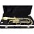 Bombardino Euphonium 3 Pistos Ep 200 Laqueado Dourado Com Case New York [F097] - Imagem 6
