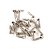 Parafuso Suporte Jack Niquelado WO3.0x15.0 (24 Peças) Spirit [F035] - Imagem 1