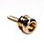Roldana Trava Correia Dourada (12 Peças) Spirit Lock PIN-GD [F035] - Imagem 1