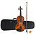 Violino Al 1410 4/4 Alan Com Case Arco Breu Cavalete [F097] - Imagem 1