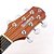 Violao Strinberg Sd200c Ns Folk Fosco [F108] - Imagem 5
