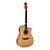 Violao Strinberg Sd200c Ns Folk Fosco [F108] - Imagem 1