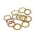 Arruela Dentada Jacks/Pots (12 Unidades) Spirit Tooth-9 [F035] - Imagem 1