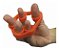 Band De Resistencia Para Dedos Em Silicone Fl56 Hidrolight [F083] - Imagem 2