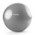 Bola De Exercicios Cinza 75cm Hidrolight Fl13c [F083] - Imagem 1