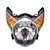 Farol (bloco Optico) C/ Lampada Keisi Cg 150 09/10 [F016] - Imagem 1