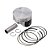 Pistao Kit C/anel  Kmp Dyamond Cb 250 Twister 16/22 0.50 [F016] - Imagem 1
