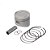 Pistao Kit C/anel Kmp Lead 110 1.00 [F016] - Imagem 1