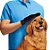 Luva Magica Massageadora Tira Pelos Cães E Gatos Silicone [F102] - Imagem 4
