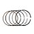 Anel P/ Pistao  Kmp Dyamond Biz - Pop 110 Inj. 16/24 0.25 [F016] - Imagem 1