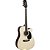 Violão Giannini GDC1 CEQ Eletroacústico Aço Natural Satin [F002] - Imagem 1
