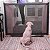 Tela Protetora Porta Grade Bebes Cães Gatos Pet 182x76cm [F102] - Imagem 4