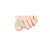 Anel Corretivo Com Almofada Para Joanete G 2 Em 1 Skingel Ortho Pahuer Sg326 [F132] - Imagem 2