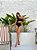 Conjunto Biquíni Top Cropped + Calcinha Hot Pants - Caribe Brasil® - Imagem 4