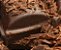 Whey Protein Grassfed Chocolate Belga 450g Puravida - Imagem 4