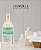 SHAMPOO CLEANER UNIVERSAL - Ação Antiressíduos - 1L - Imagem 3