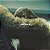 Lp Beyonce Lemonade ( Vinil Duplo Amarelo) Lacrado - Imagem 4
