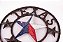 Placa Texas Star - Imagem 2