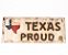 Placa Texas proud - Imagem 1